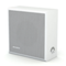 CVGAUDIO WPS6T настенная акустическая система, мощность 6W