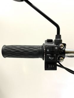 Электробайк GreenCamel Транк Монстр PRO (R16FAT 800W 60V20Ah) гидравл. тормоз