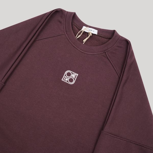 Толстовка Raglan Logo Catawba Grape - фото 4