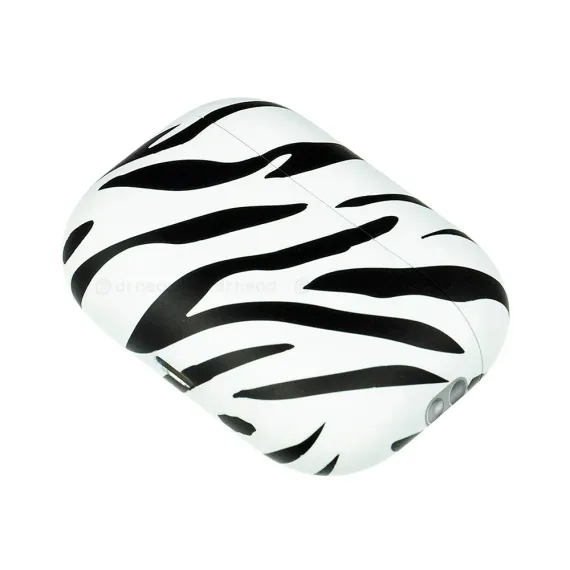 Apple AirPods Pro 2 USB-C Zebra