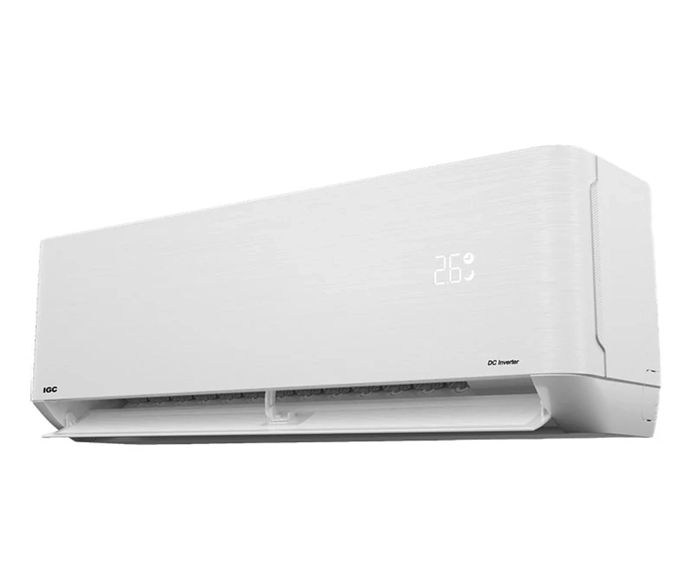 IGC RAS-V12AT