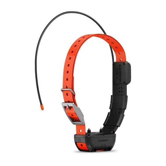 Ошейник Garmin Alpha TT25 (Европейская версия)