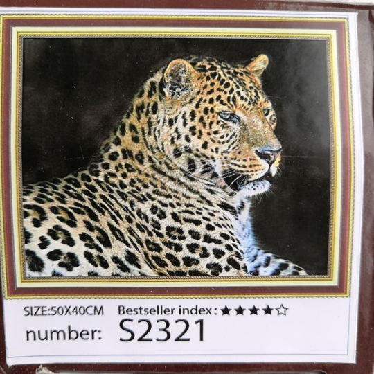 Алмазная мозаика без подрамника 50*40 см S2321