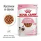 Влажный корм RC Kitten Instinctive для котят, в соусе, пауч, 85 г