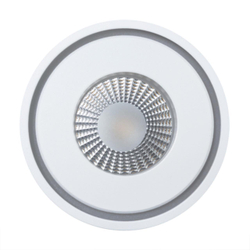 Светильник точечный Arte Lamp Ain A7248PL-1WH