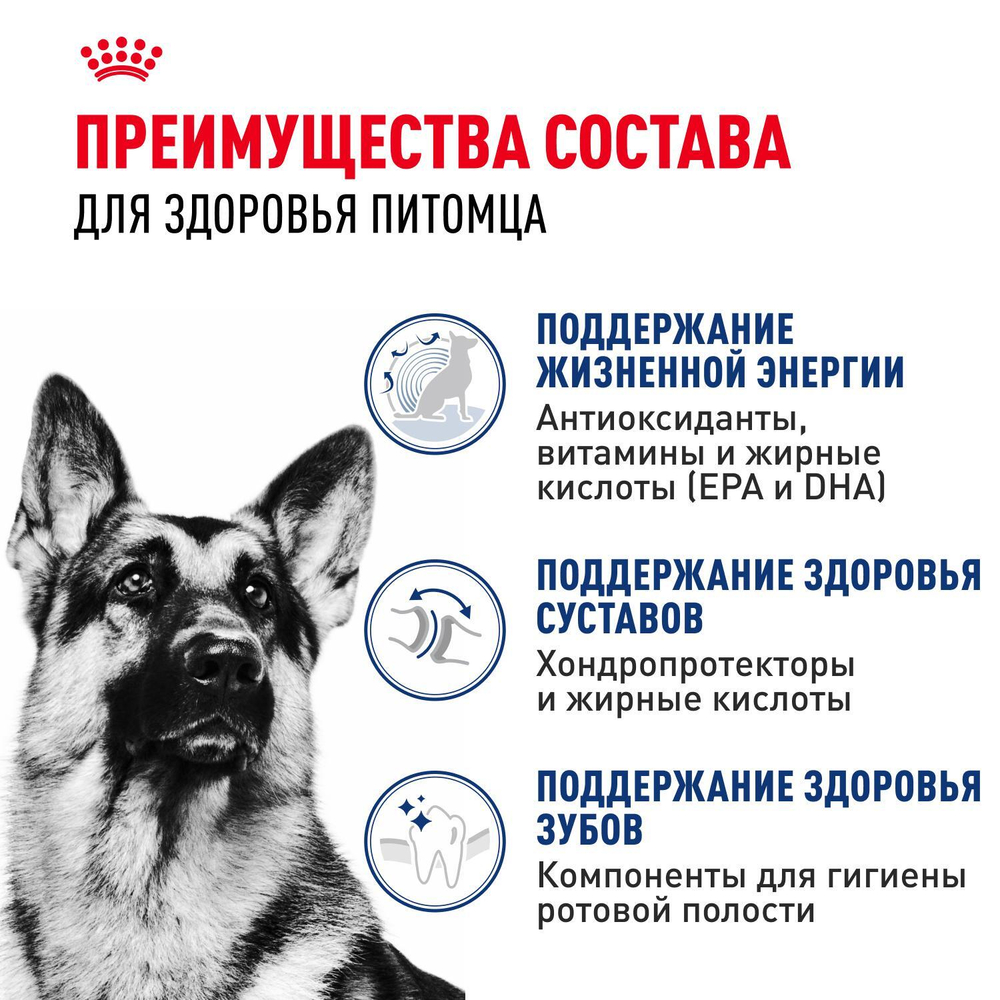 Royal Canin Maxi Adult 5+ Макси Эдалт Корм сухой для взрослых собак крупных пород старше 5 лет 15кг