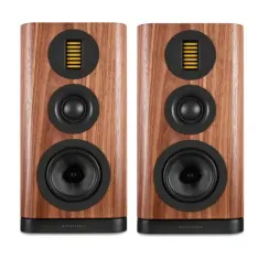 Wharfedale EVO 5.2 Walnut