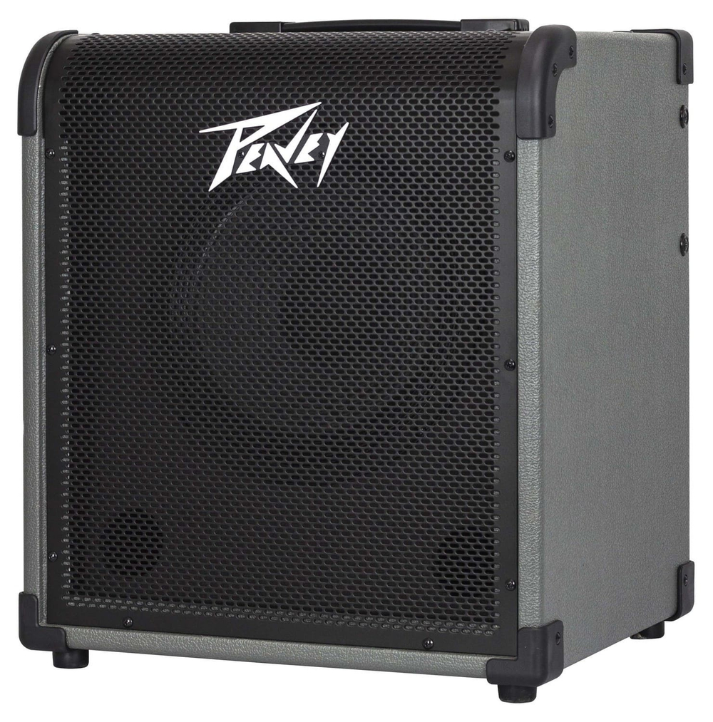 Peavey MAX 100