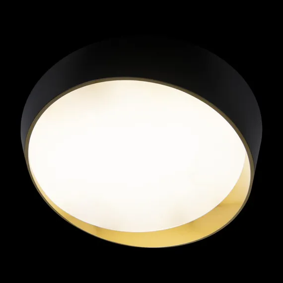 Потолочный светильник Coin 10199 Black Loft It