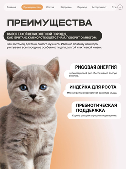 Корм сухой для котят породы Британская короткошёрстная, с индейкой, 2кг, QUATTRO