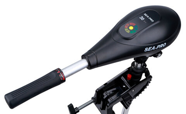 Электромотор SEA-PRO VST30/66