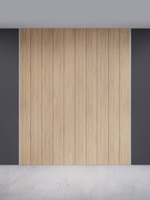Панель Skyline 200*2800