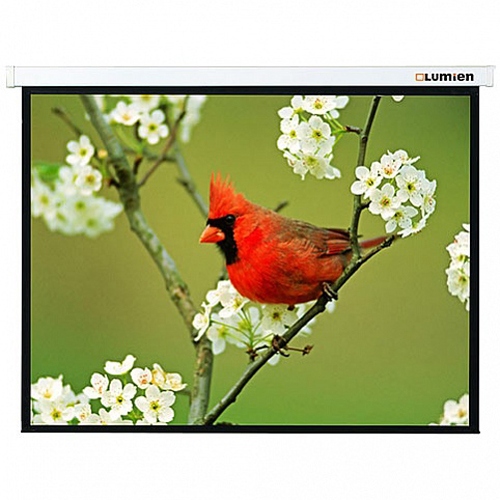 Настенный проекционный экран Lumien Master Picture 305х305 см Matte White FiberGlass [LMP-100107]