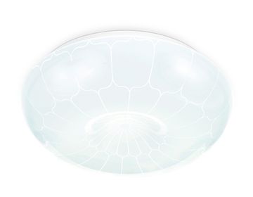 Потолочный светодиодный светильник 16W 6400K FZ1088 WH белый Orbital Air Ambrella