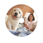 Оптический диск Verbatim CD-R 700MB 52X AZO DataLifePlus Wide Thermal Printable, Spindle, 50 шт