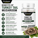 Probase Nutrition, Индейка, гриб, 100 мг, 120 капсул