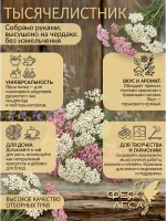 Тысячелистник для чая, магии, окуривания и творчества