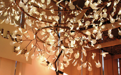 MOOOI-Heraclium