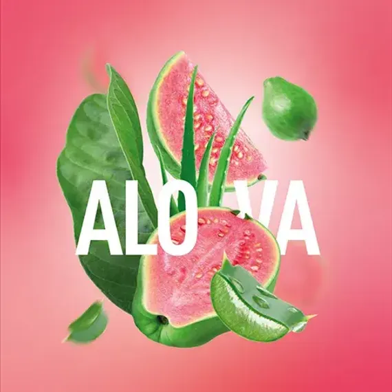Must Have - Alova