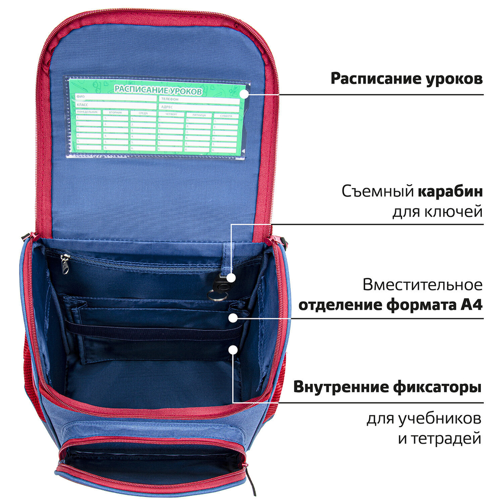 Ранец ПИФАГОР BASIC, 1 отделение, 3 кармана, эргономичная спинка, "Champion", 35х28х18 см, 270685