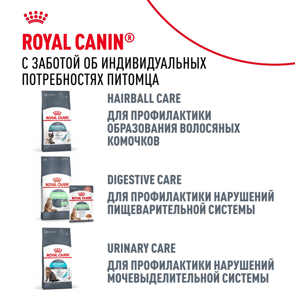 Royal Canin Hair&Skin Care Хэйр Энд Скин Кэа Корм сухой для взрослых кошек поддержание здоровья кожи и шерсти 2кг