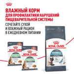 Royal Canin Hairball Care Хэйрболл Кэа Корм сухой для взрослых кошек профилактика образования волосяных комочков 2кг