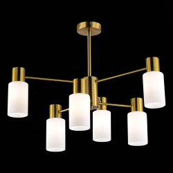 Светильник потолочный Evoluce Gessi SLE1139-302-06