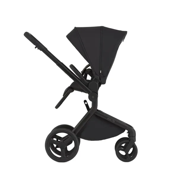 Коляска 2 в 1 ANEX Flo Lungo