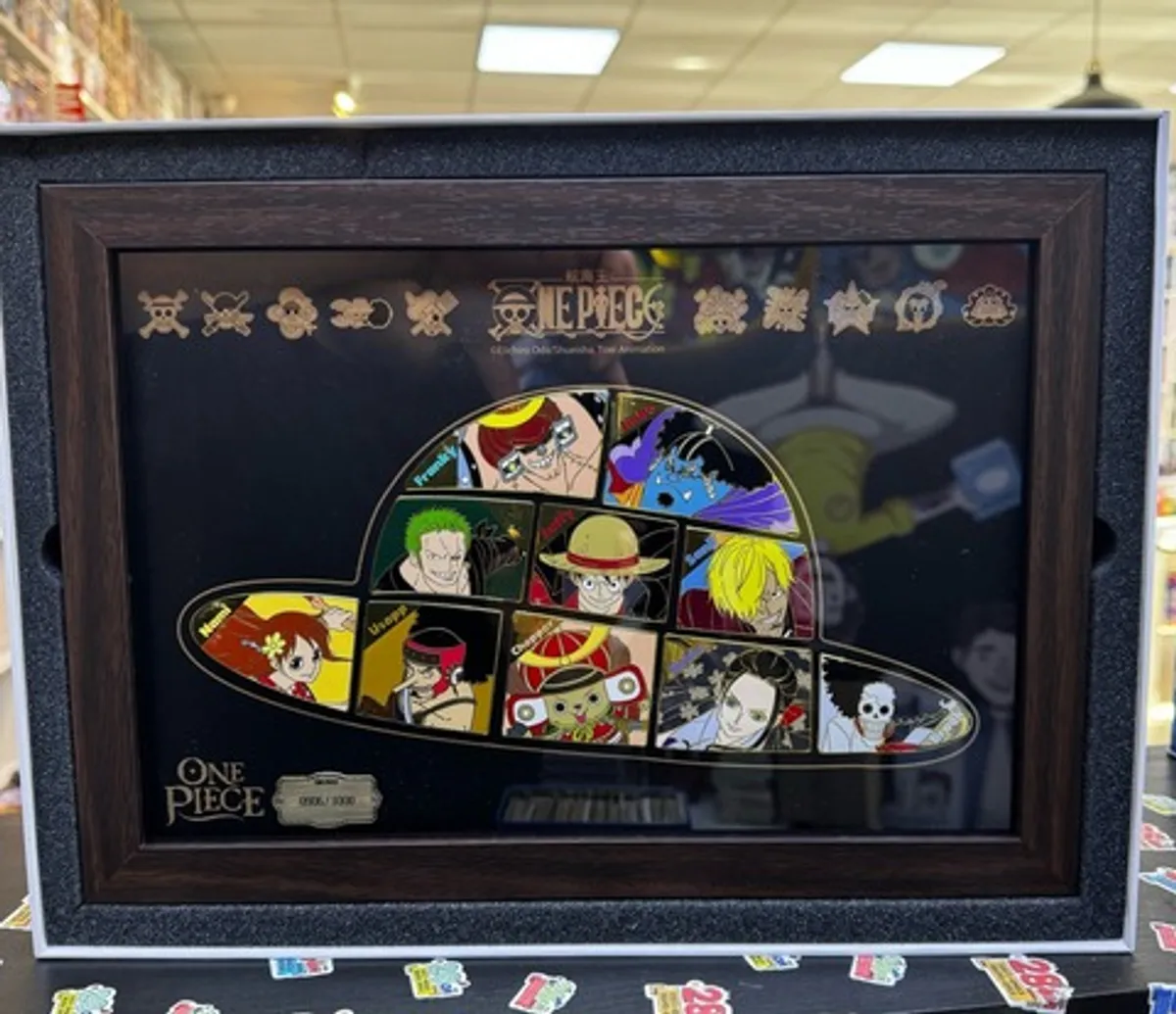 One Piece 25th TV Animation Anniversary Framed Pin Set