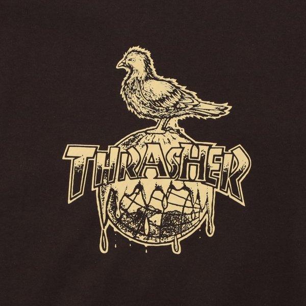 Футболка Thrasher Cover The Earth T-Shirt (dark chocolate) артикул: - купить в магазине Дайс