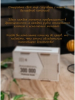 Копилка для денег на 300 000 рублей деревянная большая