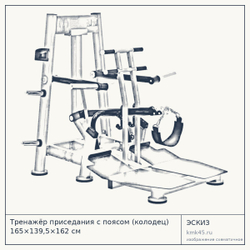 Тренажёр приседания с поясом (колодец) 165×139,5×162 см — от 216 000 ₽