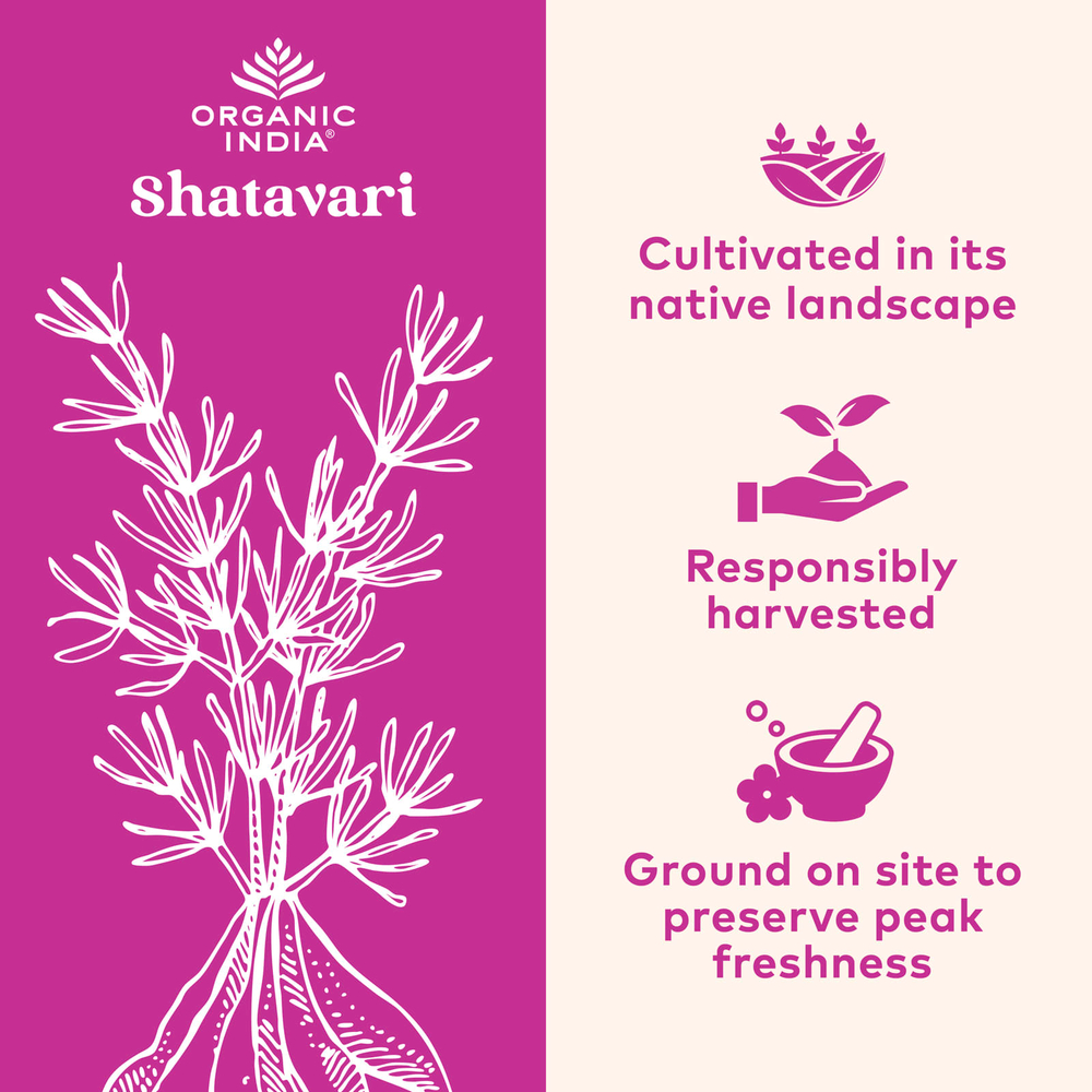 Organic India, Шатавари, 90 вегетарианских капсул (400 мг на капсулу)