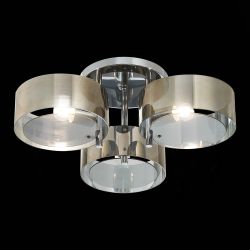 Светильник потолочный Evoluce Foresta SL483.702.03