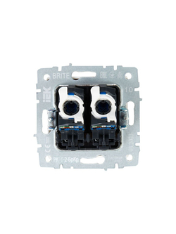 Розетка компьютерная двойн. СП RJ45 кат.5E BRITE РК10-2-БрКр механизм беж. IEK BR-K20-1-K10