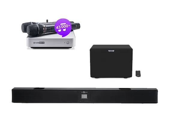 Evolution Evobox Plus Silver - комплект караоке + саундбар EvoSound + цифровая радиосистема
