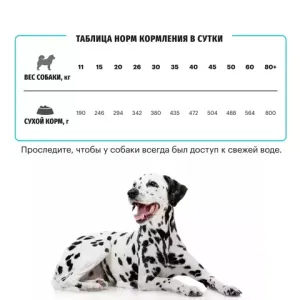 Сухой корм Karmy Hypoallergenic Medium & Maxi для взрослых собак средних и крупных пород, склонных к пищевой аллергии, с уткой