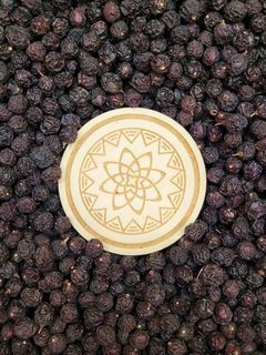 Черемуха красная Алтайская