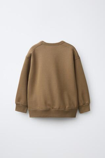 ZARA БАЗОВАЯ ТОЛСТОВКА, РЫЖЕВАТО-КОРИЧНЕВЫЙ