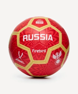 Мяч футбольный Flagball Firebird №5