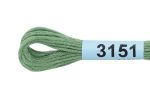 Мулине Gamma 100% хлопок, цв.3151 зеленый, 24 мотка по 8 метров