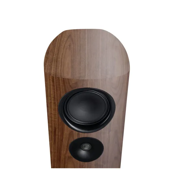 Canton Reference 5 GS Edition Walnut
