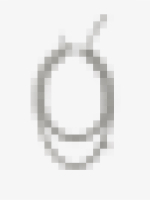 SECRET STATEMENT SAMPLE #46