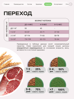 Корм сухой для котят породы Бенгальская, с ягненком, 2 кг, QUATTRO