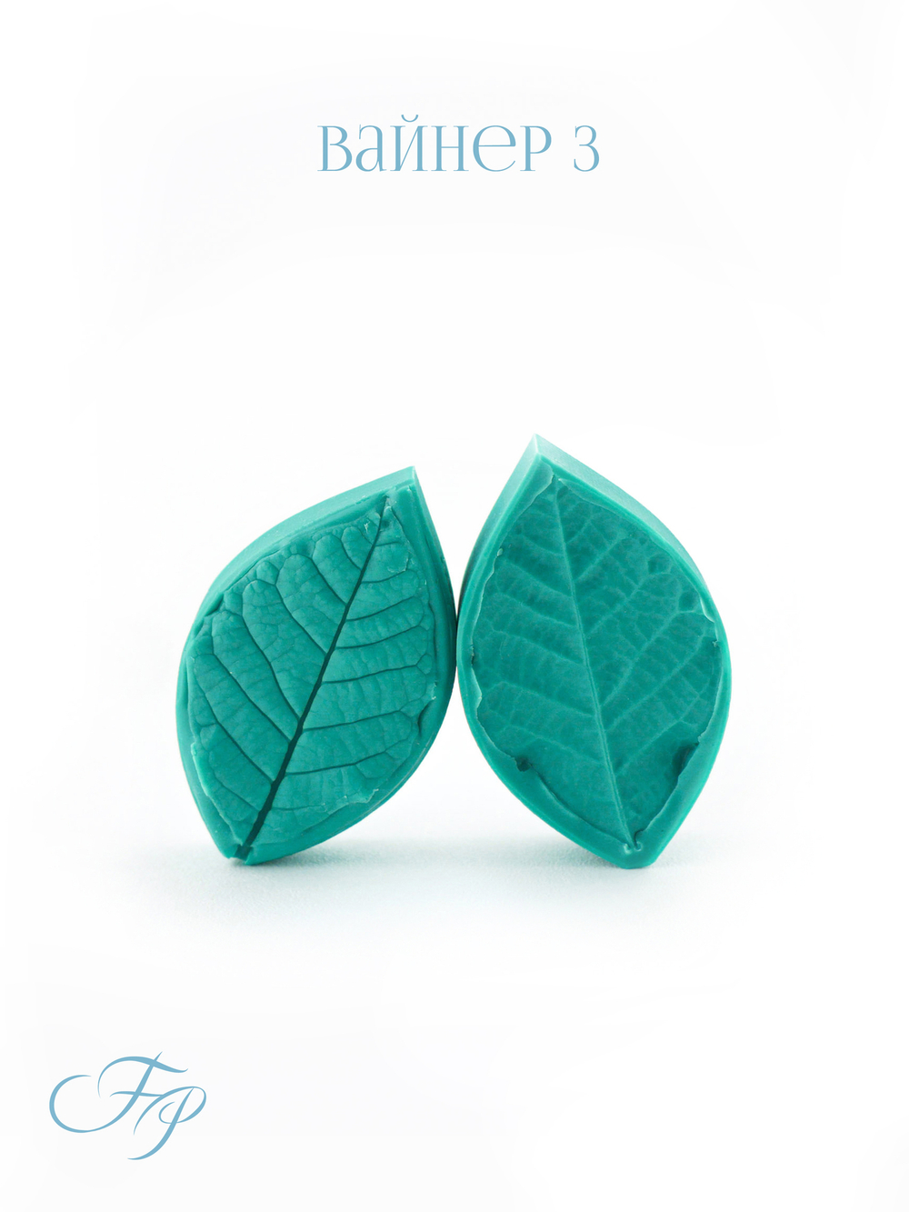 Магнолия листья