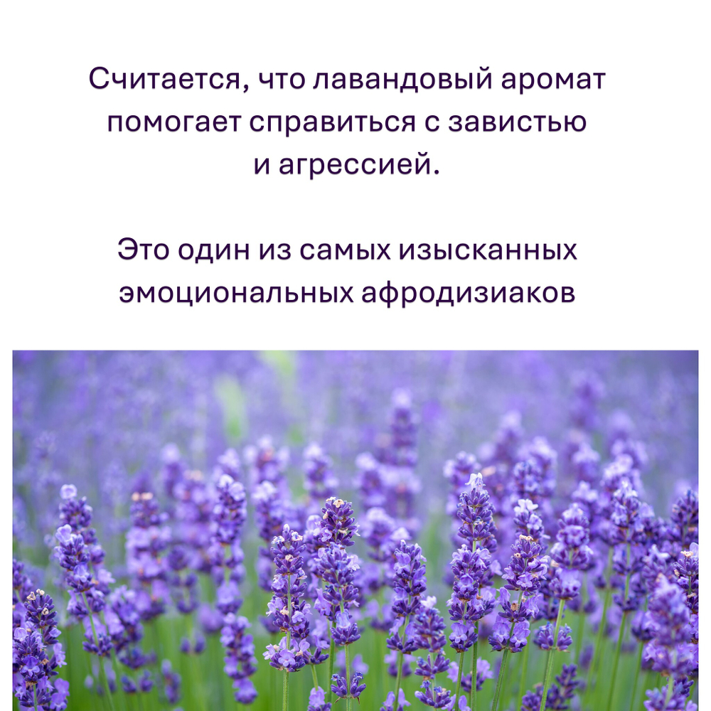 Свечи фиолетовые/ медитация и успех, с эфирными маслами и травами, 18х2 см