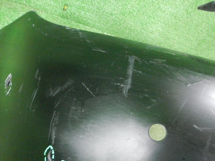 DSCN8202.JPG