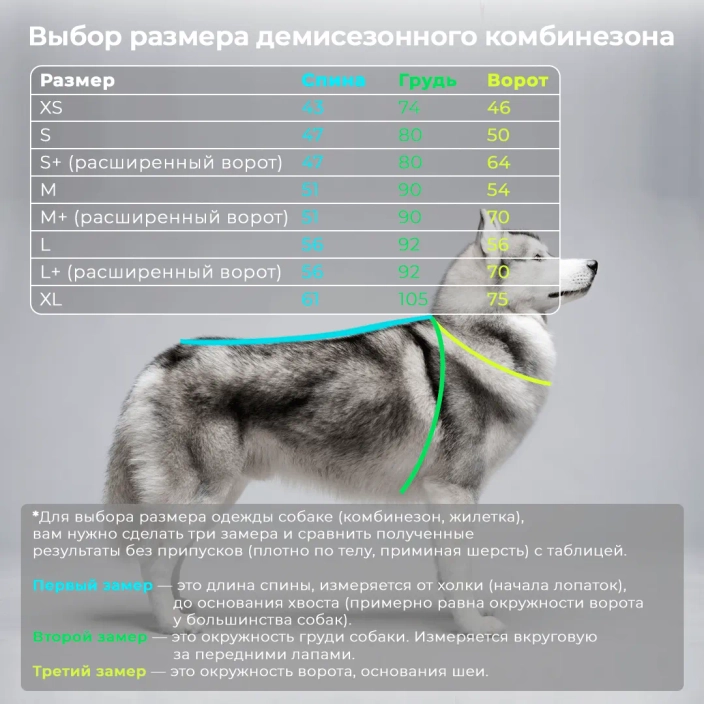 Демисезонная и зимняя одежда