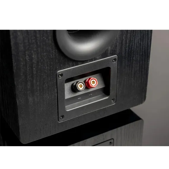 SVS Prime Pinnacle Piano Black Ash