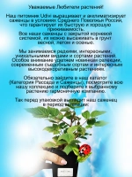 Малина Кримсон Найт ремонтантная